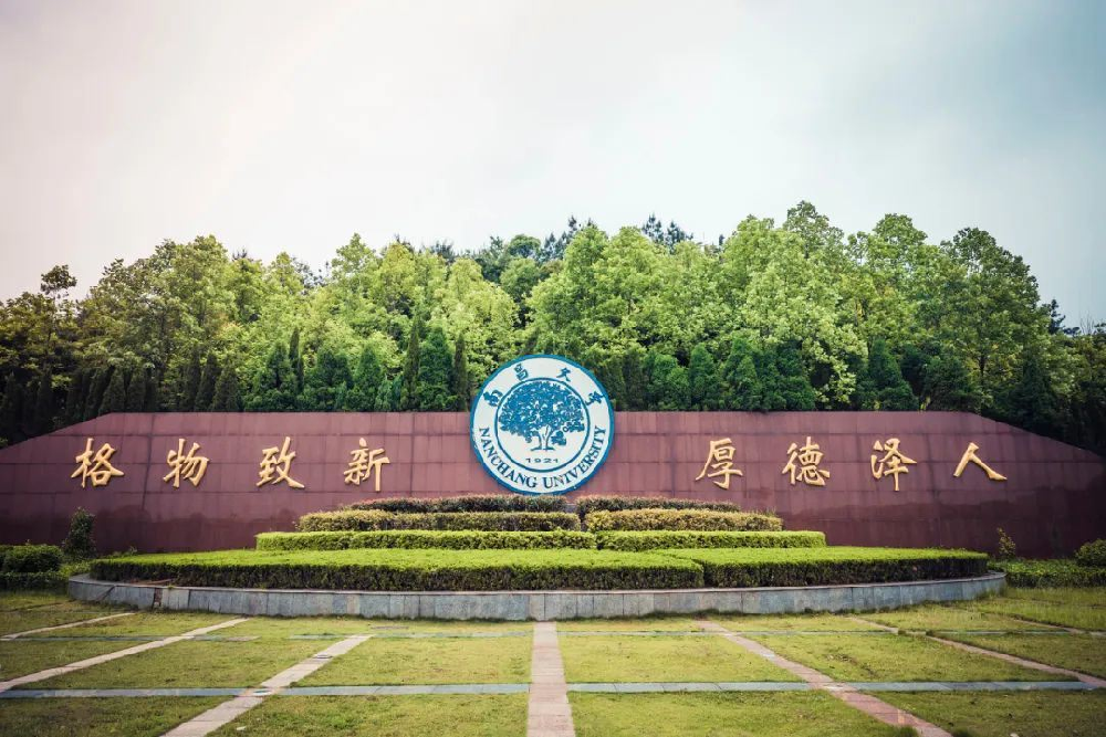 教育系统